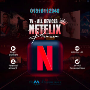 Netflix Subscription