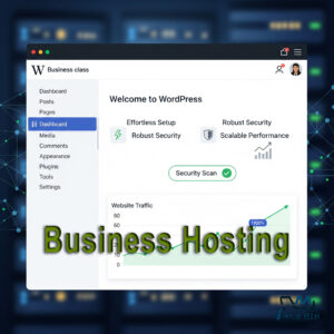 Business Class Hosting